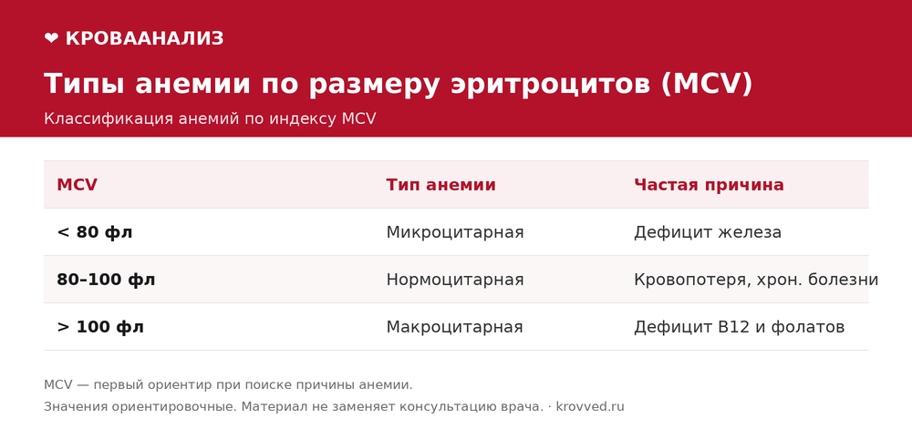 Классификация анемий по среднему объёму эритроцита MCV: микроцитарная, нормоцитарная и макроцитарная с причинами